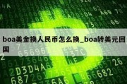 boa美金换人民币怎么换_boa转美元回国