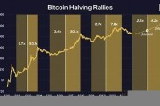 btc去中心化钱包实现(去中心化比特币钱包)