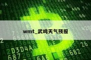 wmt_武鸣天气预报