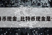 比特币现金_比特币现金是什么