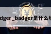 badger_badger是什么牌子