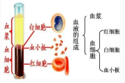 paxgene是什么, paxsey原理。