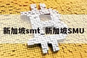 新加坡smt_新加坡SMU