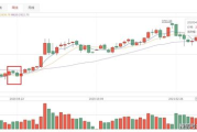 paxg行情哪里看,序言:理解Paxg的重要性