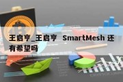 王启亨_王启亨  SmartMesh 还有希望吗