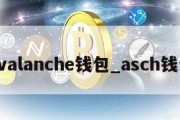 avalanche钱包_asch钱包