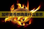 数字货币被燃烧是什么意思(数字货币 销毁)