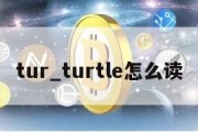 tur_turtle怎么读