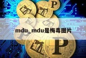 mdu_mdu是梅毒图片