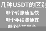 usdt个人数字钱包是什么(usdt数字钱包app)