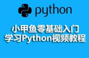 零基础学python视频,为什么选择Pyho作为编程语言?