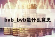 bvb_bvb是什么意思