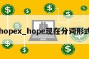 hopex_hope现在分词形式