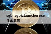 sgb_sgbizlauncherexe什么意思