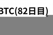 什么钱包能放btc(钱包放什么最旺)