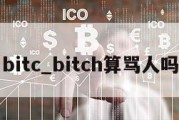 bitc_bitch算骂人吗