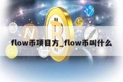 flow币项目方_flow币叫什么