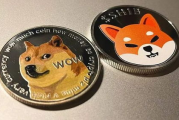 doge/btc币,doge是什么币种？