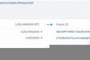 btc搭建钱包节点(btc 钱包)