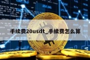 手续费20usdt_手续费怎么算