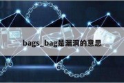 bags_bag是漏洞的意思