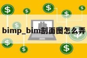 bimp_bim剖面图怎么弄