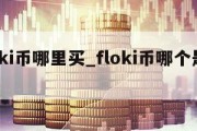 floki币哪里买_floki币哪个是真的