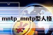 mntp_mntp型人格