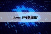 pbom_胖布偶猫图片