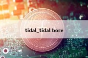 tidal_tidal bore