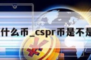 cspr是什么币_cspr币是不是国产币