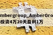 ambergroup_AmberGroup投资4万20天盈利1万