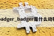 badger_badger是什么动物