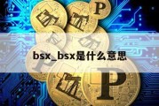 bsx_bsx是什么意思