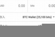 btc都用什么钱包交易(btc钱包用哪个好)