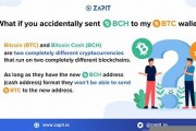 bch可以转到btc钱包吗(btc可以兑换人民币吗)