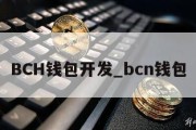 BCH钱包开发_bcn钱包