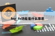 feg_fe功能是什么意思